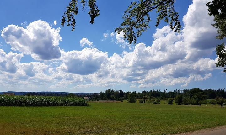 Wanderheim in Zavelstein